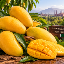 ChaunsaMango